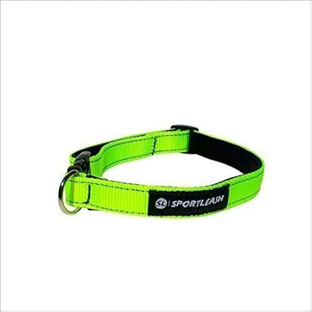 neon yellow dog collar