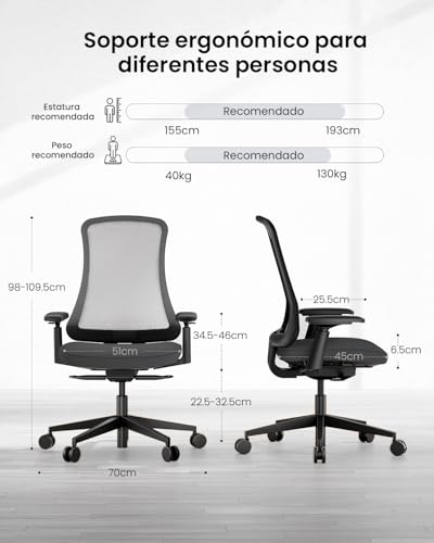 ProtoArc Ergonomic Desk Chair High Back Nylon Mesh, Incline Weight-Adaptive, Breathable Seat, Adjustable Arms, Tilt Lock (Flexer – Black)