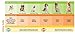 Nylabone Galileo Souper Original Flavored Dog Chew Toy