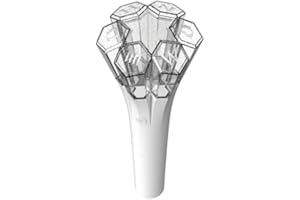 일반 WONHO Official Light Stick