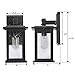 Emliviar Outdoor Wall Sconce, 1-Light Exterior Wall Lantern in Black Finish with Clear Seeded Glass, OS-1803EW1