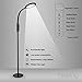 IMIGY Floor Lamp 16W 3rd Gen LED Lamp, 900 Lumens Flexible Gooseneck Office Work Light with Touch Control Panel, 5-Level Brightness and 4 Color Temperature Dimmable Eye-Care Technology Light, Black