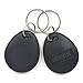 THONSEN 10pcs 125KHz EM4100 RFID Key Fobs(Grey) - Read Only, Not Rewritable Not Programmable