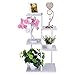 m·kvfa Plant Stand Flower Rack Wood Shelf Flower Pots Holder Display Rack Utility Shelf Rack Frames for Yard Garden Patio Bedroom (White)thumb 1