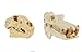 Safari Ltd Mammal Skulls TOOB with the Skulls of a Dolphin, Lion, Rhinoceros, Elephant, Giraffe, Zebra, Gorilla, and Hippopotamus.