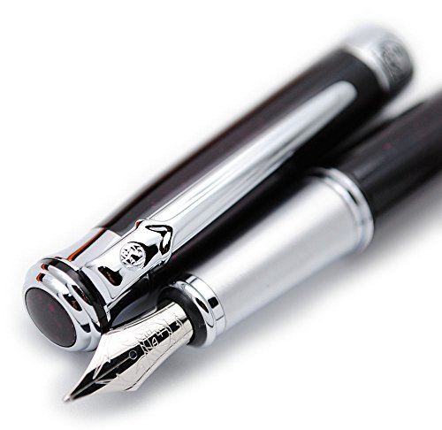 Picasso 903 sweden flower king fountain pen original bo…