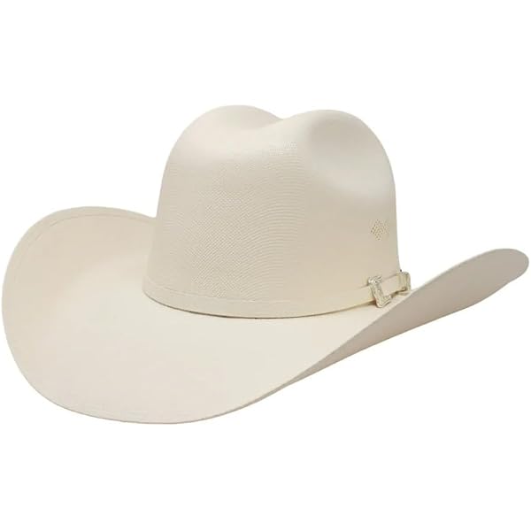Chapeau De Cowboy Vintage RESISTOL – Taille 7-3/8 Ovale Long – Noir Castor – Avec Boîte