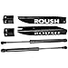 Roush 421236 05-14 Mustang Hood Struts