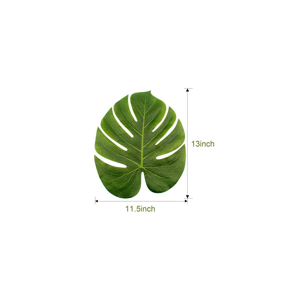 Лист монстеры размер. Форма листа монстеры. Торт с листьями монстеры. Лист монстеры из гипса. Растение черепаха лист
