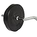 Best Choice Products 55lb 1in EZ Curl Bar Barbell Weight Set w/ 2 Lock Clamp Collars, 4 Plates - Silver/Black