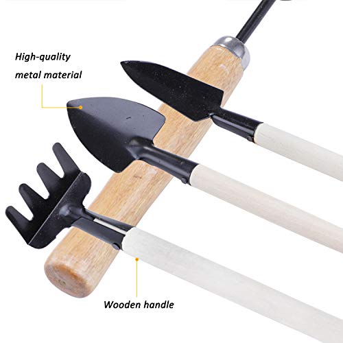 Hanhan 10 Pcs Gardening Bonsai Tools Set Succulent Garden Hand Tool Kit with Shovels, Rakes, Fork, Tweezers, Bud & Leaf Scissor, Cleaning Brush