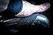 WOD Wear Lifting Straps for Powerlifting, Weightlifting, Bodybuilding - Unisex, Protect Wrists and Hands, Padded, Cotton - Protect Wrists and PR - 100% Guaranteed Warranty