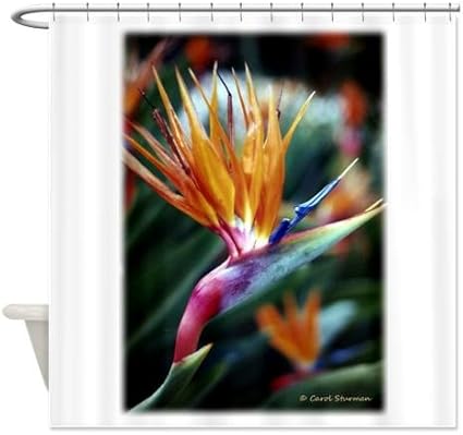 Amazon Com Bird Of Paradise Shower Curtain Shower Curtain