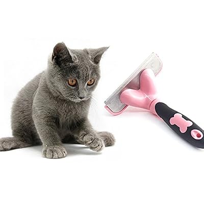 Rcruning Eu Brosse Chat Chien Pet Grooming Brush Pet Fur Removal