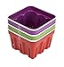 Crisp Kitchen Storage Berry Basket, Purple/Green/Red