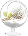 Mkono Air Plant Terrarium 5 Inch Succulent Glass Planter Container Plant Display Vase