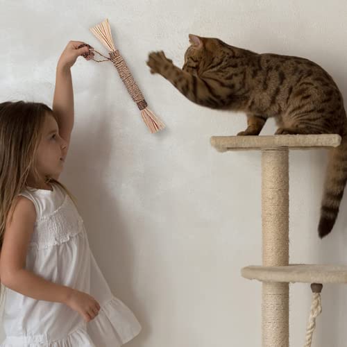 Catnip Toys,3 Pack Silvervine for Cats,Kitten Teething Toys for Aggressive chewers Interactive Kitty Toys Suitable for All Ages, Breeds