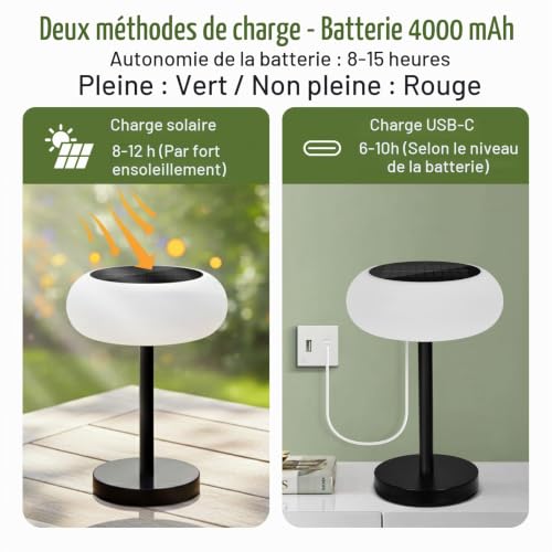 Rosnek Wireless LED Solar Table Lamp, 4000mAh Battery, 3 Color Modes & Continuous Dimming, IP65 Waterproof with Remote Control, USB-C Charging & Solar Power (Pack of 2)