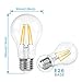 SHINE HAI A19 LED Vintage Filament Bulb, 4W (40W Equivalent), 2700K Warm White, E26 Base, Omnidirectional, Pack of 18