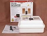 Little Giant Still-Air Incubator, Holds 41 Large Chicken Eggs Or 120 Bantam/Quail Eggs, 9300