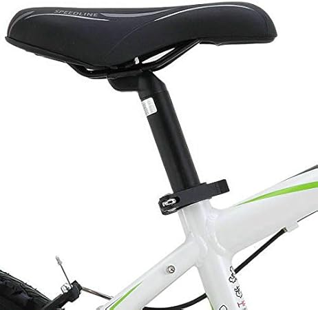 hasa 18 speed kids mountain bike