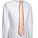 KissTies Mens Peach Tie Formal Necktie Paisley Ties + Gift Box