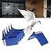 Abicial Pigeon Bird Stand, Pigeon Perch Plastic Heat Resistance Dove Rest Roost Bird Stand Holder Suppliesthumb 2