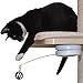 PetFusion Interactive Cat Spinner - Rotating Cat Toy with Multi-Surface Adhesive - Cat Operated, Encourages Fitness & Mental Stimulation