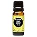 Sunshine Spice Synergy Blend Essential Oil by Edens Garden- 10 ml (Balsam, Camphor, Cinnamon Bark, Cinnamon Leaf, Eucalyptus and Sweet Orange)