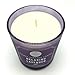 DW Home Relaxing Lavender Scented Candle Hand Poured Into a Frosted Heavy Glass Jar 9.5 Ounces