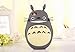 Iphone 6s Case, Iphone 6 Case, Cute 3D Cartoon Lovely Happy Totoro Designed Soft Gel Rubber Silicone Protection Skin Case Cover for Iphone 6 / 6s 4.7