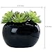 MyGift® Decorative Modern Glazed Black Ceramic Potted Green Artificial Succulent Planter Pot