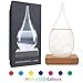 Eon Concepts Storm Glass Weather Predictor - Barometer Bottle with Stunning & Colorful LED Wood Base | Decorative Centerpiece for Home & Office | Birthday Friendship Novelty Unique Gift Idea (MEDIUM)