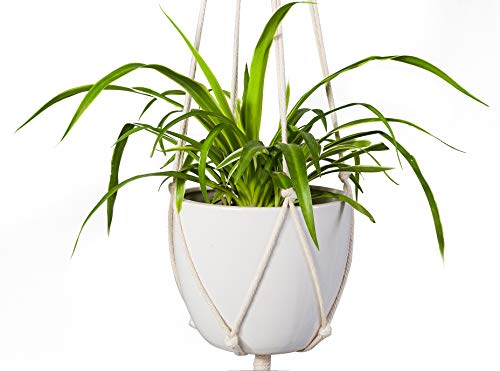 image for TIMEYARD Macrame Plant Hanger 2Pcs Indoor Outdoor Wall Hanging Planter