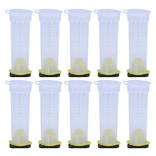 Zqasales Bee Hive Beekeeping King Box Pollination Box Beekeeping Cultivating Tool Cultivating Plastic Box for Garden Pollination