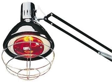 250R40HR1 Infrared Lamp Bulb, 250 Watt