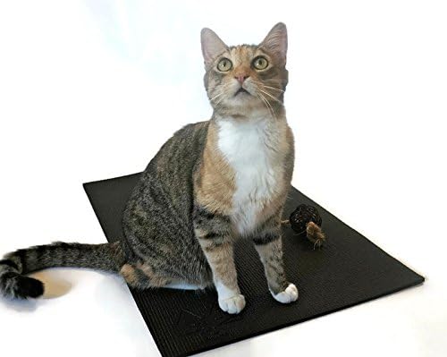 Feline YogiCat Yoga Mat with Catnip Cat Toy. Cat Scratching Post, Bed, Activity Play Mat