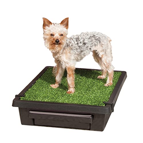 PetSafe Pet Loo Portable Dog Potty - Pet Toilet Alternative for Puppy Pads - Small - Perfect for House Training - Easy-to-Clean Grass Mat