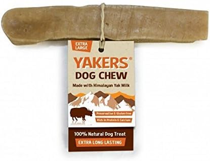 5 golden retriever puppies