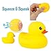 Novelty Place Rubber Duck Family Pack Ducky Baby Bath Toy for Kids (Pack of 6)