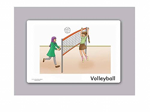 Sports and Action Flashcards in German - Bildkarten - Sportarten