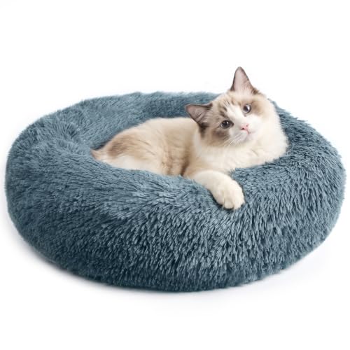 Cat Beds for Indoor Cats Small Dog Plush Donut