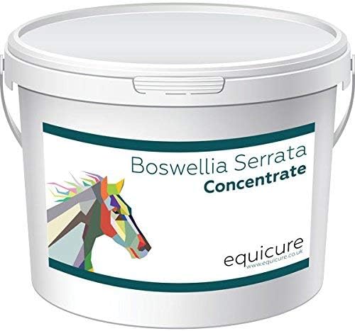 Equicure Boswellia Serrata Concentrate Powder For Horse/Pony (750g), 750 g (Pack of 1)