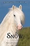 Snow: Phantom Stallion of the Poconos