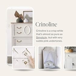 Chalk Style Paint - for Furniture, Home