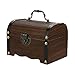 Gessppo Wooden Piggy Bank Safe Money Box Savings with Lock Wood Carving Handmade Money Box for Kids Boys Girls and Adults Gift