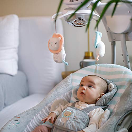 ingenuity lion swing