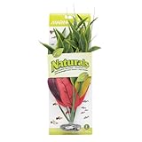 Marina Naturals Dracena Silk Plant, Large, Red/Yellow