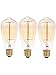 Vintage Edison Bulb 40W 110V E26 Base Squirrel Cage Tungsten Filament Incandescent Light Bulb, Warm Light Dimmable, Pack of 3
