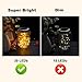 Mason Jar Lights 30 LED 6 Pack, Hanging Solar Lights Outdoors, Waterproof Solar Lanterns(Jars Included)